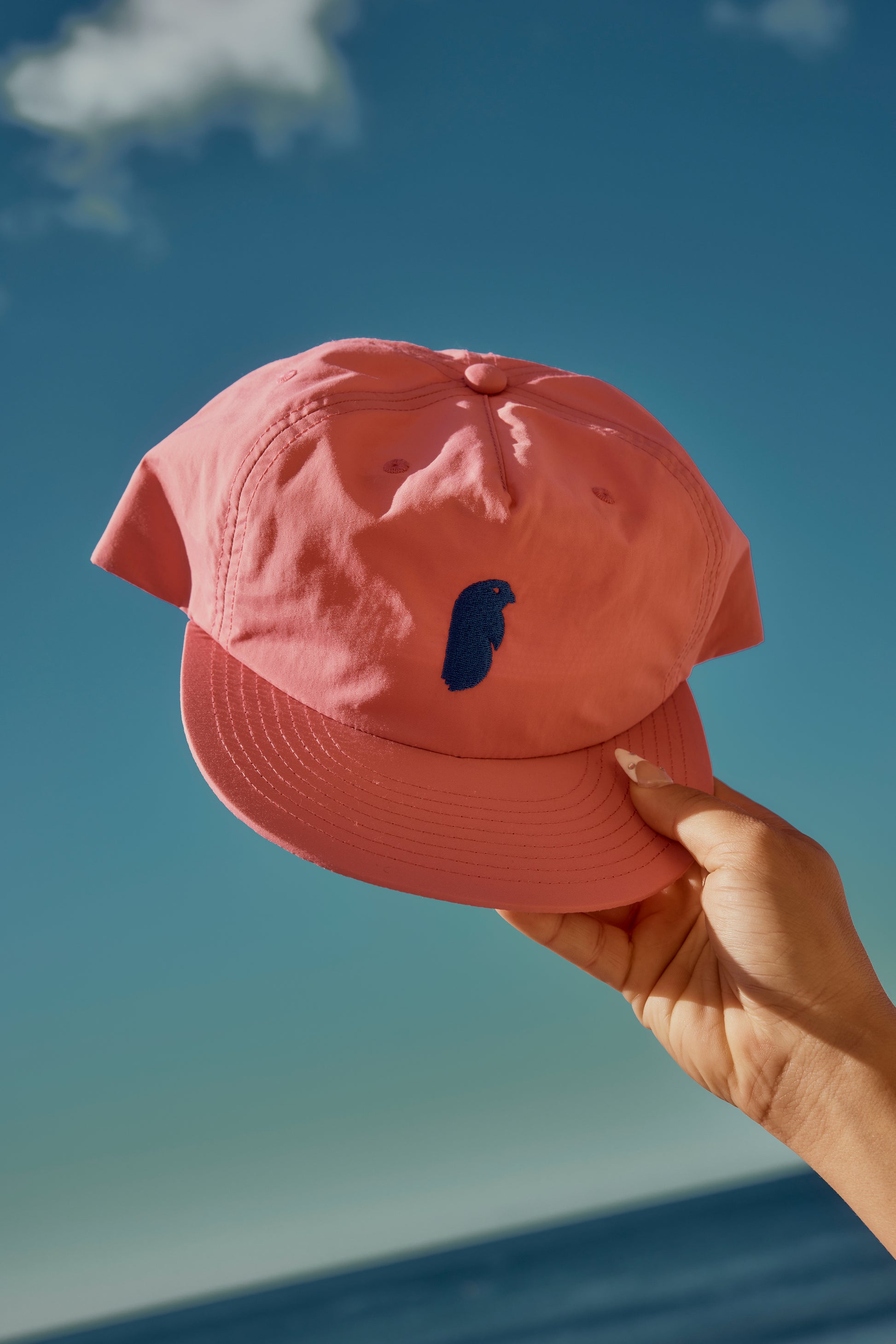 The Earlybird Pink Cap